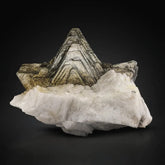 Star Shape Mica Crystals on Albite